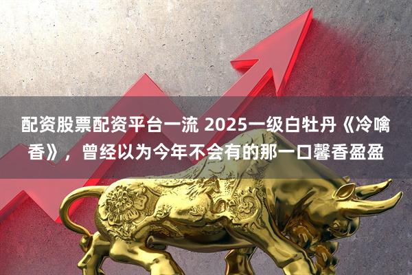 配资股票配资平台一流 2025一级白牡丹《冷噙香》，曾经以为今年不会有的那一口馨香盈盈