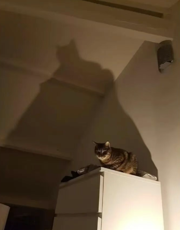 正规配资门户炒股平台 轻松一刻：已到不能生气的年纪了，因为气血不足